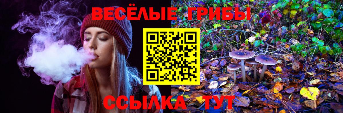 Галлюциногенные грибы MAGIC MUSHROOMS Минусинск