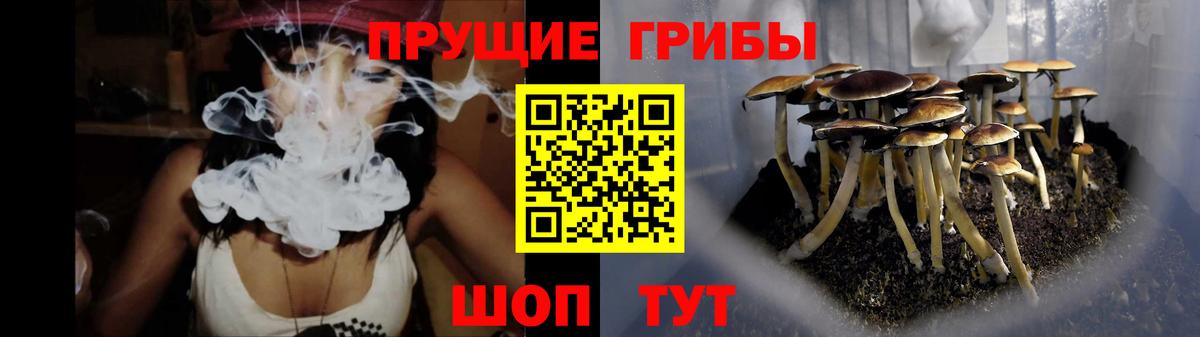 Галлюциногенные грибы мицелий  Вход с VPN  Минусинск 